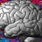 LSD’nin Sentezi: Tıp ve Ruh Sağlığı Üzerindeki Etkileri